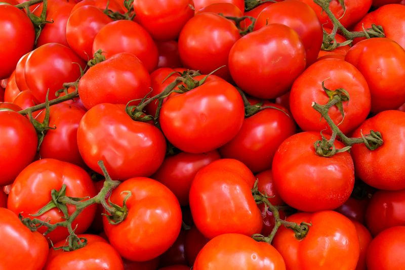 Tomatoes on vine