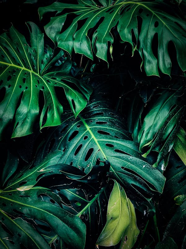 Blog Post