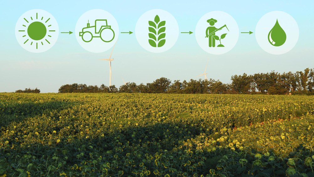 Sustainable Farming