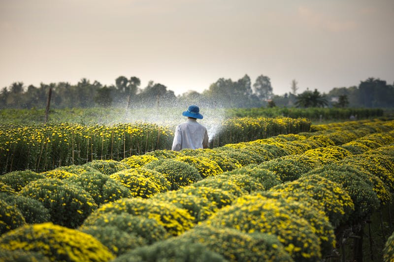 Farm Activity