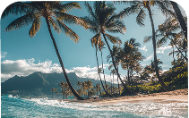 banner-img