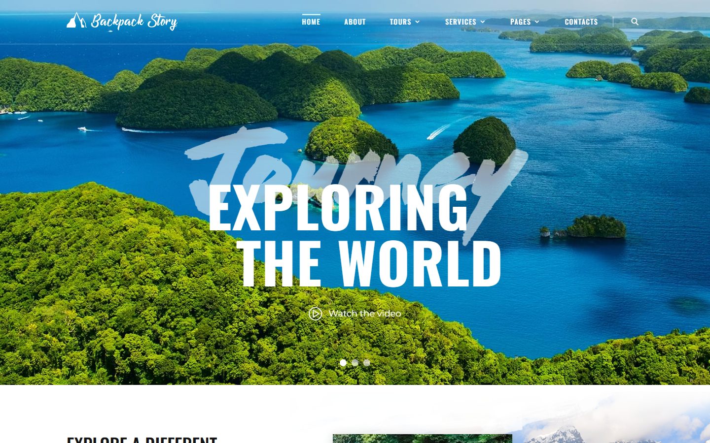 全球精选旅行服务网站模板
