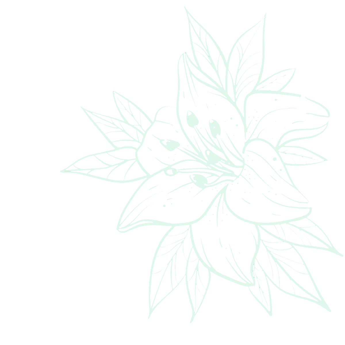 light-flower-image 12