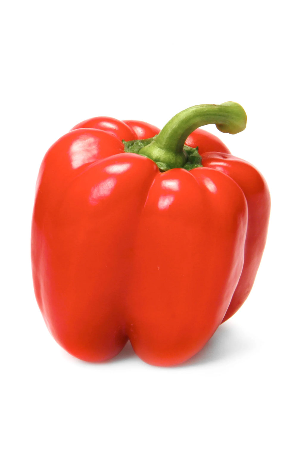 IMG-PRODUCT
