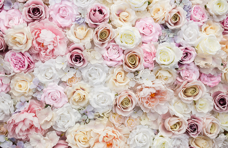 blog img