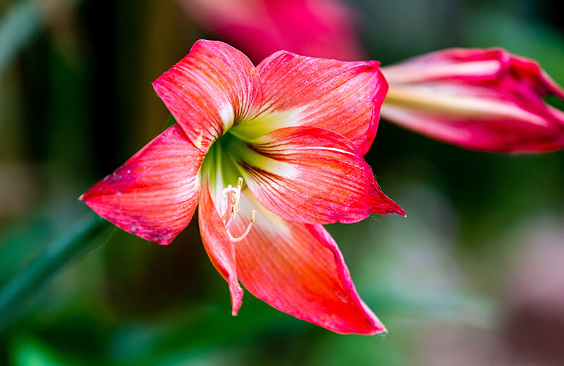 blog img