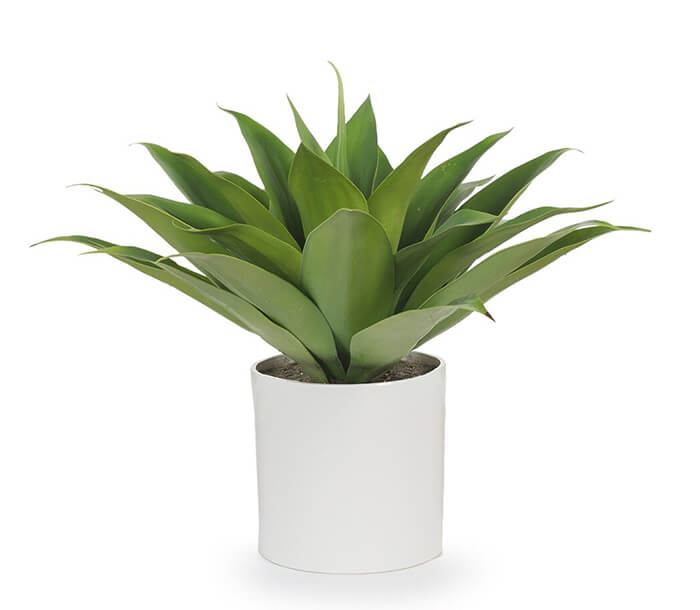 product_30
