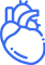 category icon
