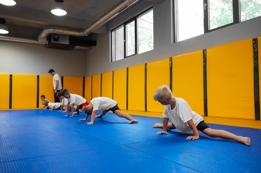 Dojo training area
