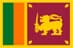flag image