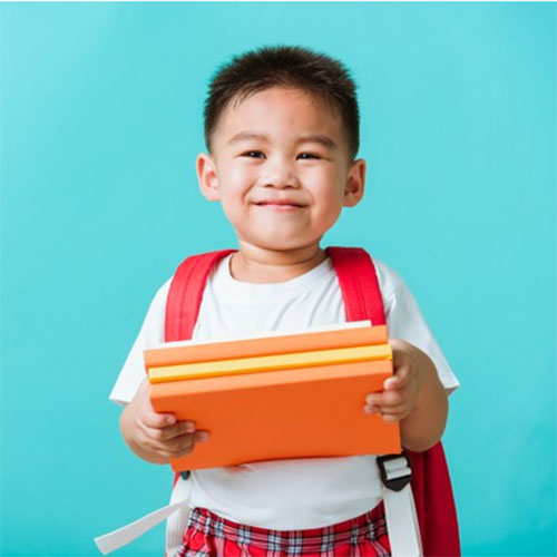 Portfolio Image