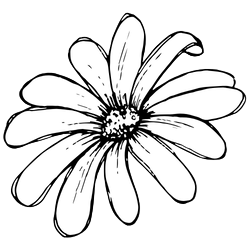 about-card-image-1