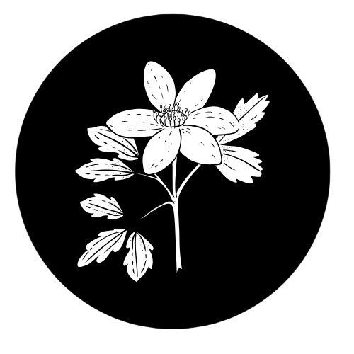 service-img