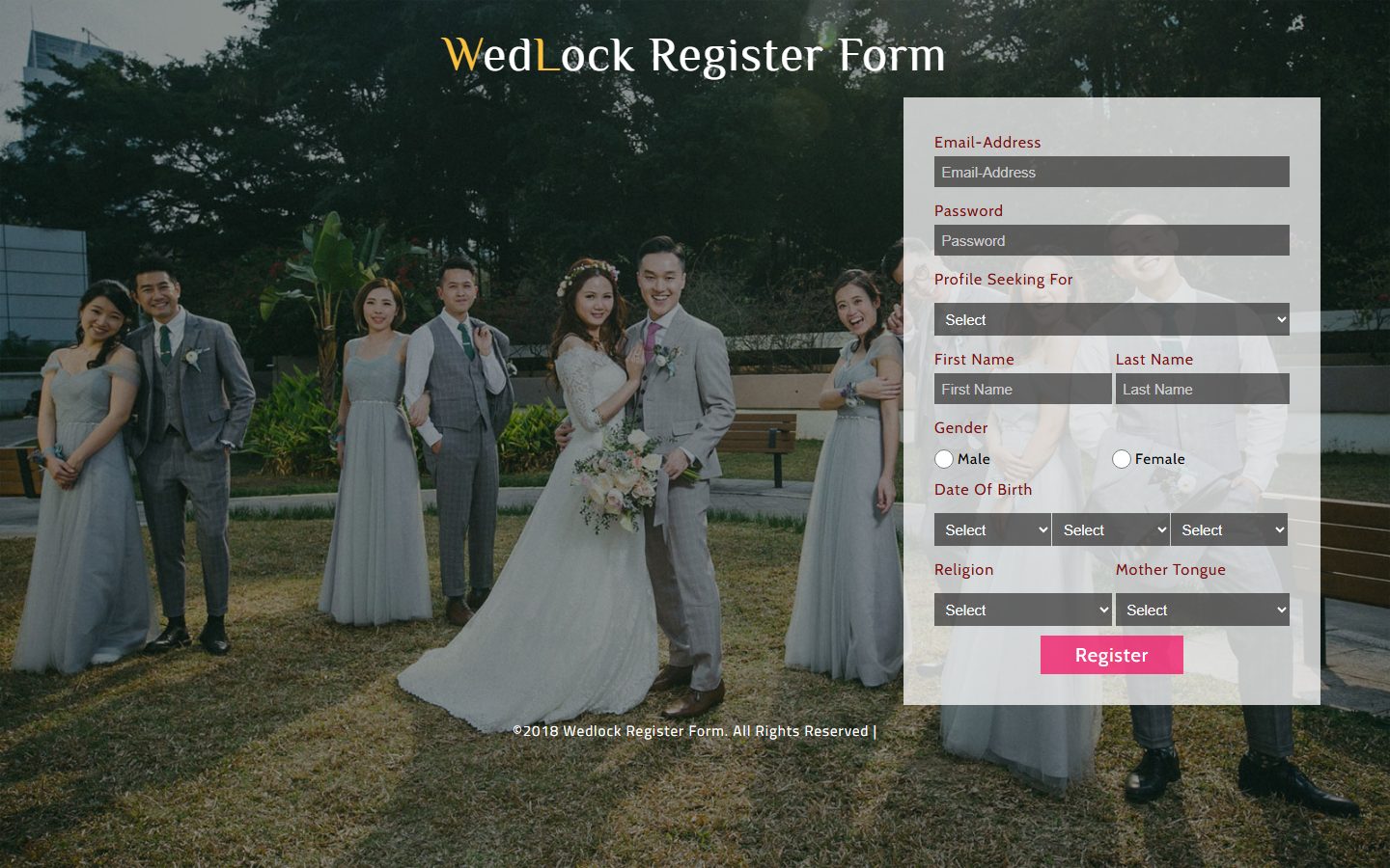 婚姻记录表单网页模板