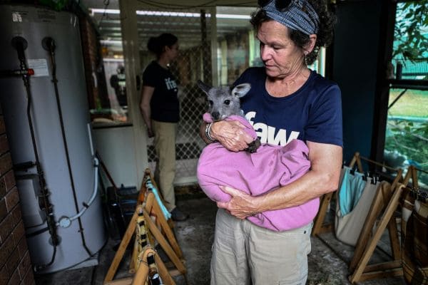 Pet Adoption Event