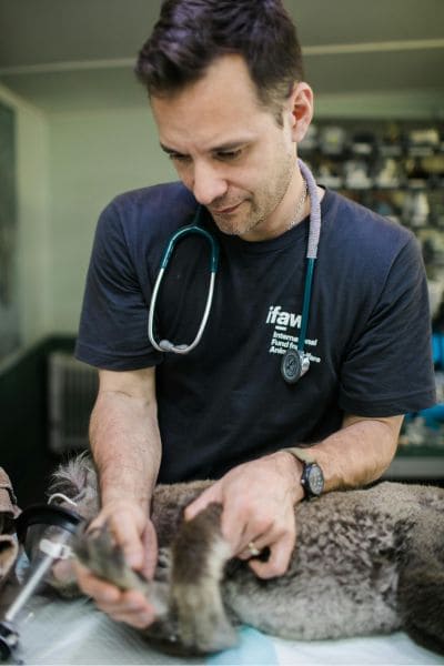 Vet Clinic FAQs Image