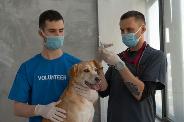 Vaccination